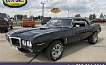 1969 Firebird Thumbnail 1