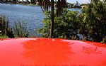 1969 Camaro Thumbnail 31