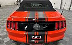 2015 Mustang Thumbnail 17
