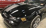 2003 Mustang Sorry Just Sold!!! Cobra Jet