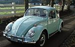 1966 Beetle Thumbnail 19