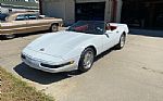 1991 Corvette Thumbnail 9