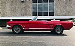 1966 Mustang Thumbnail 11