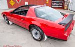 1983 Trans Am Thumbnail 17