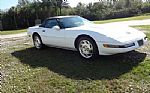 1994 Corvette Thumbnail 4