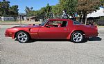 1976 Trans Am Thumbnail 2