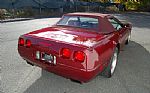 1993 Corvette 40th Anniversary Thumbnail 19