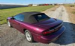 1995 Camaro 2dr Convertible Z28 Thumbnail 17