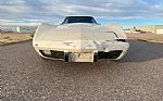 1979 Corvette Thumbnail 10