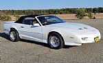 1991 Trans Am Thumbnail 2