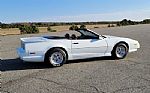 1991 Trans Am Thumbnail 5