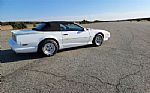 1991 Trans Am Thumbnail 6