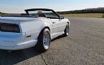 1991 Trans Am Thumbnail 9