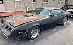 1979 Trans Am Thumbnail 1