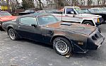 1979 Trans Am Thumbnail 2