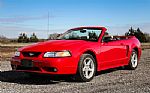 1999 Mustang SVT Cobra Thumbnail 30