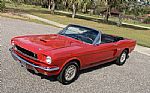 1966 Mustang Convertible GT350 Trib Thumbnail 4