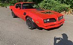 1979 Pontiac Trans Am