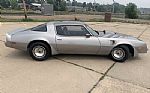 1979 Trans Am Thumbnail 49