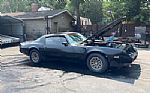 1979 Trans Am Thumbnail 5