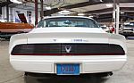 1981 Trans Am Firebird Thumbnail 4