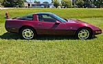 1993 Corvette Thumbnail 12