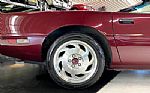 1993 Corvette Thumbnail 21