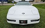 1992 Corvette Thumbnail 4