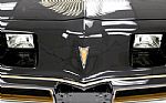 1981 Trans Am Bandit Special Editio Thumbnail 13