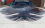 1980 Trans Am Thumbnail 14