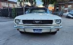 1966 Mustang Thumbnail 6