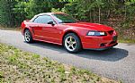 1999 Mustang Cobra Convertible Thumbnail 5