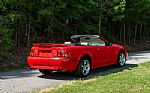 1999 Mustang Cobra Convertible Thumbnail 7