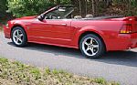 1999 Mustang Cobra Convertible Thumbnail 11