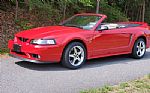 1999 Mustang Cobra Convertible Thumbnail 12