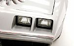 1979 Firebird Trans Am 10th Anniver Thumbnail 13