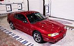 1996 Mustang SVT COBRA Thumbnail 9