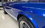 1966 Mustang Shelby Tribute Thumbnail 5