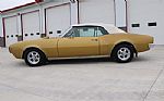 1967 Firebird Thumbnail 2