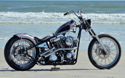 2021 Harley Davidson Custom Motorcycle