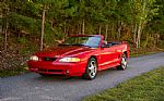 1994 Mustang Cobra Indianapolis Pac Thumbnail 6