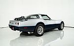 1981 Corvette Thumbnail 12