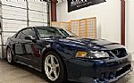 2001 Mustang SVT Cobra Thumbnail 2