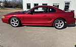 1996 Mustang Cobra Thumbnail 6