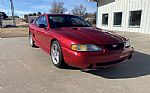1996 Mustang Cobra Thumbnail 4