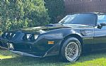 1979 Trans Am Thumbnail 9