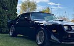 1979 Trans Am Thumbnail 16