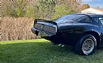 1979 Trans Am Thumbnail 19