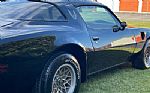 1979 Trans Am Thumbnail 21