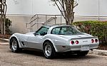 1981 Corvette Thumbnail 4